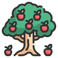 APP降级